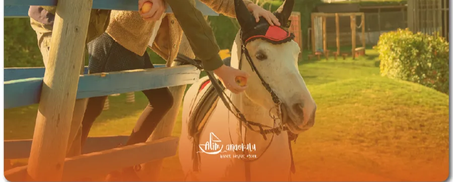 Alim Anaokulu Tanıtım Filmi